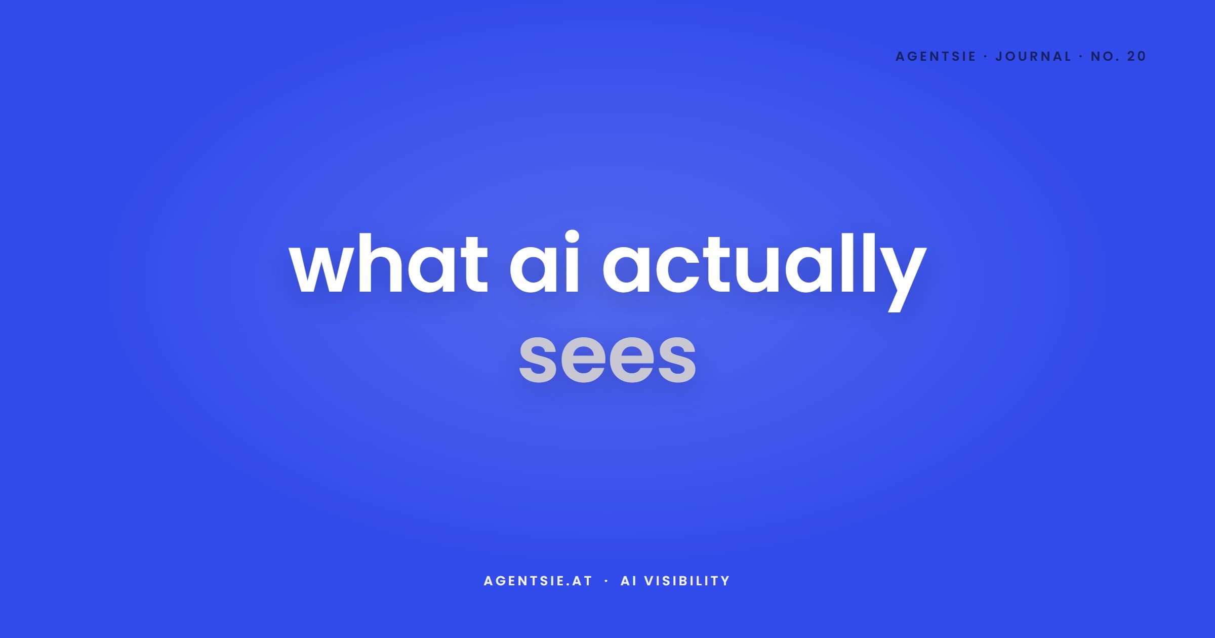 Cover: AI Visibility Check: What 20 Checks Reveal About Your Website
