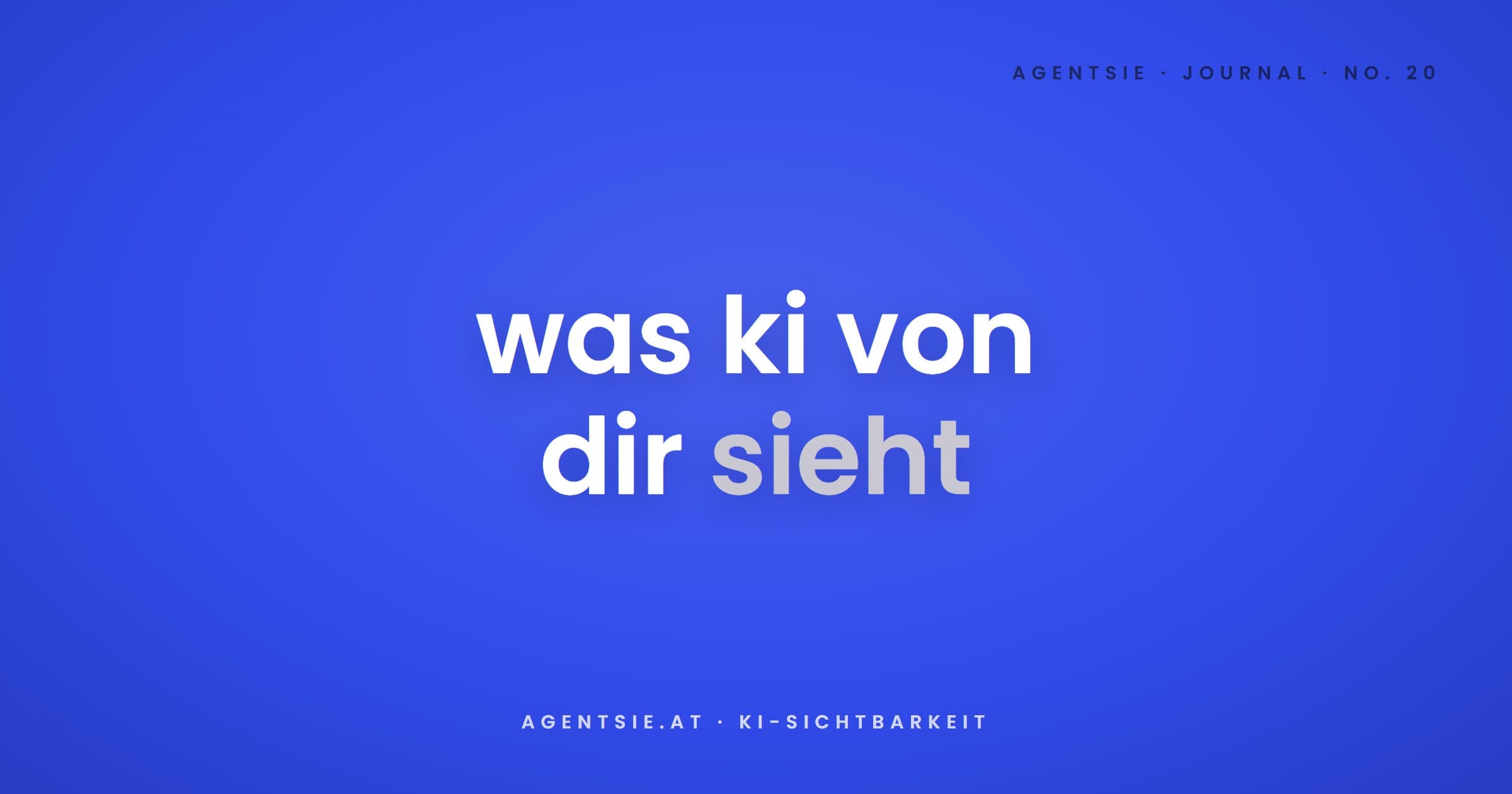 Cover: KI-Sichtbarkeits-Check: was 20 Checks über deine Website verraten
