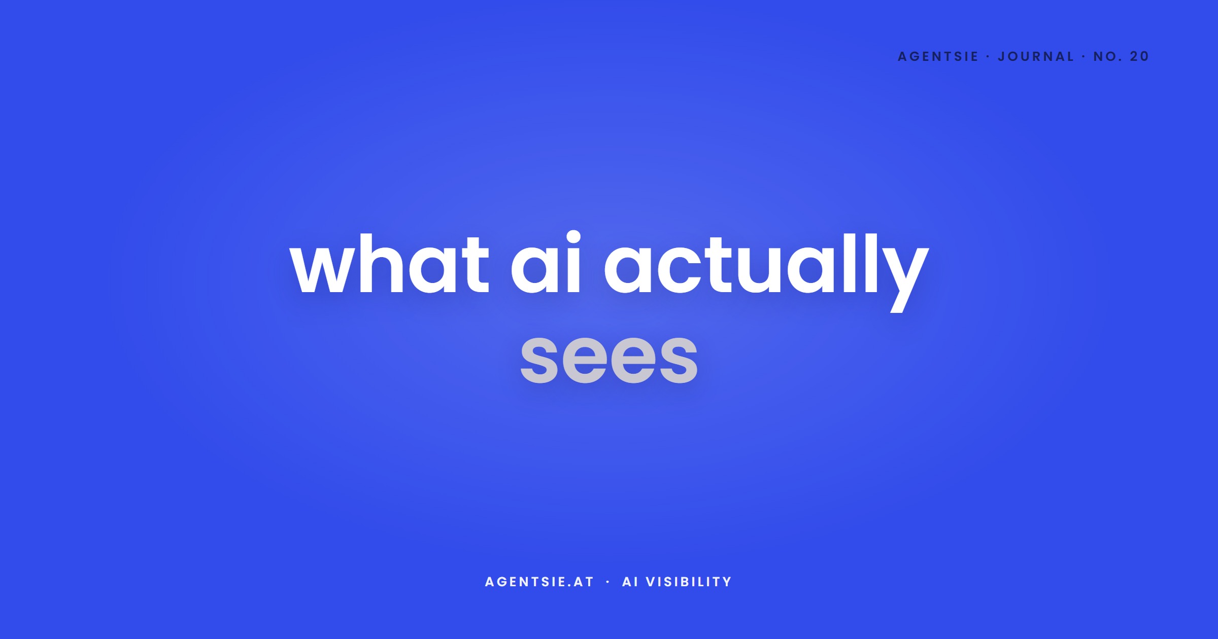 Cover: AI Visibility Check: What 20 Checks Reveal About Your Website