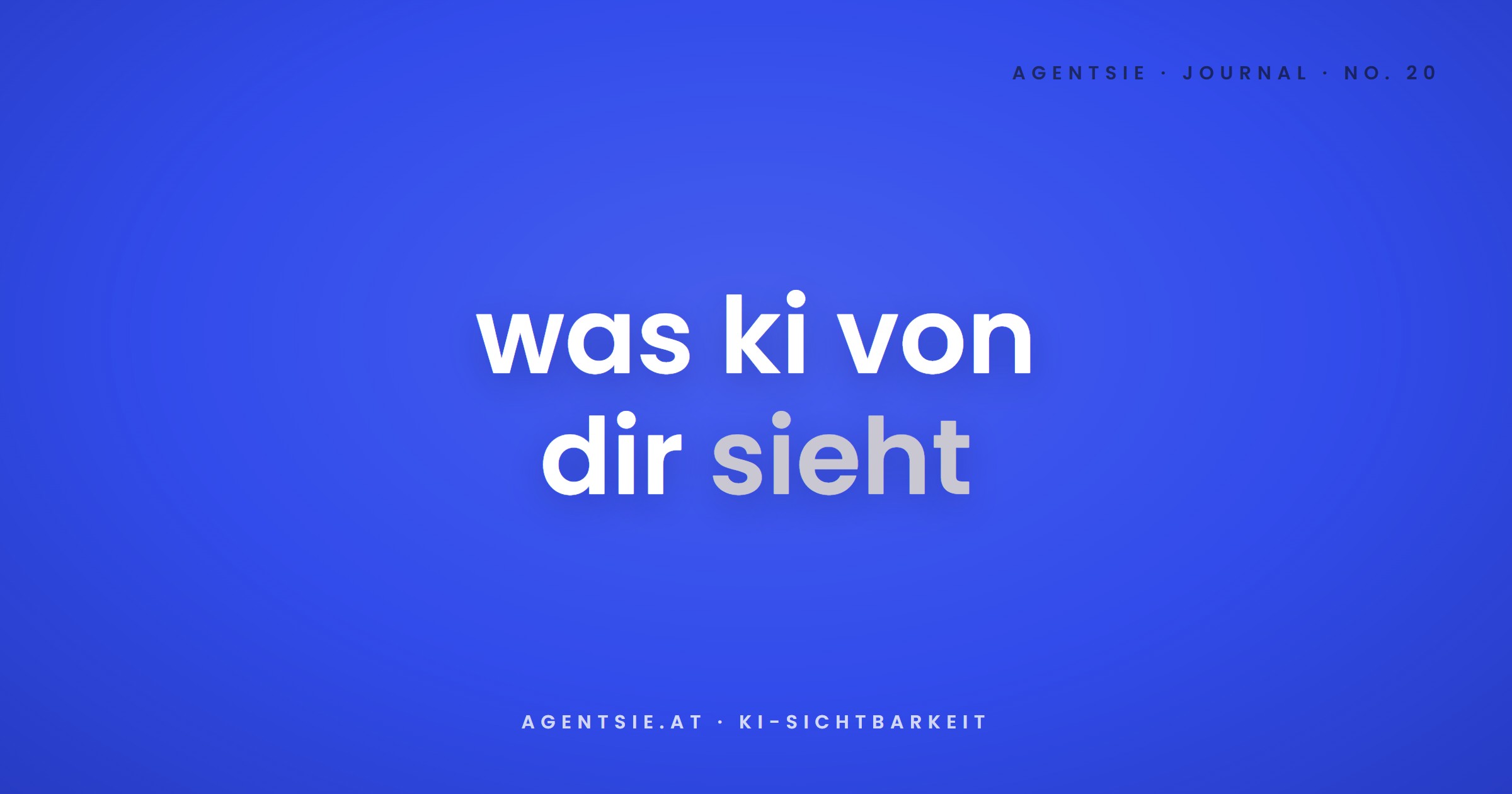 Cover: KI-Sichtbarkeits-Check: was 20 Checks über deine Website verraten